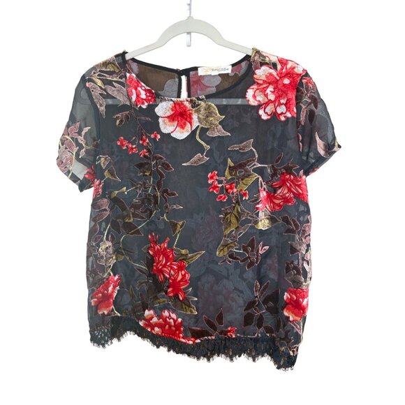 Dark Romantic Velvet Burnout Sheer Floral Sz M Top Lace Whimsigoth Sheer Fairy - Picture 1 of 14